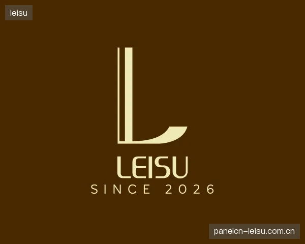 认识leisu团队